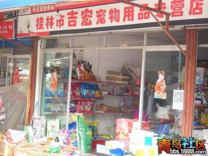 市1.JPG