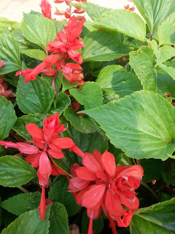 20160616_093513_副本.jpg