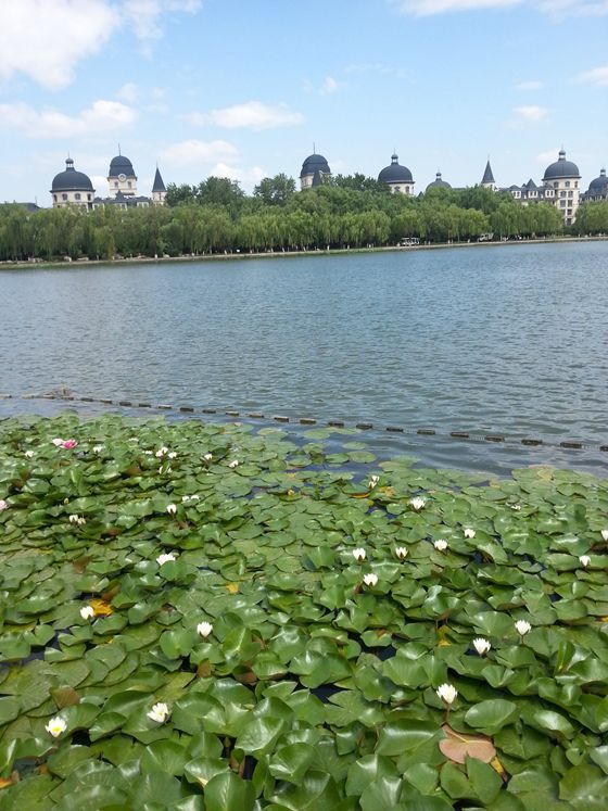 20160615_100133_副本.jpg