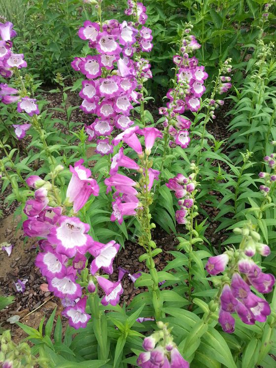 20160615_101217_副本.jpg