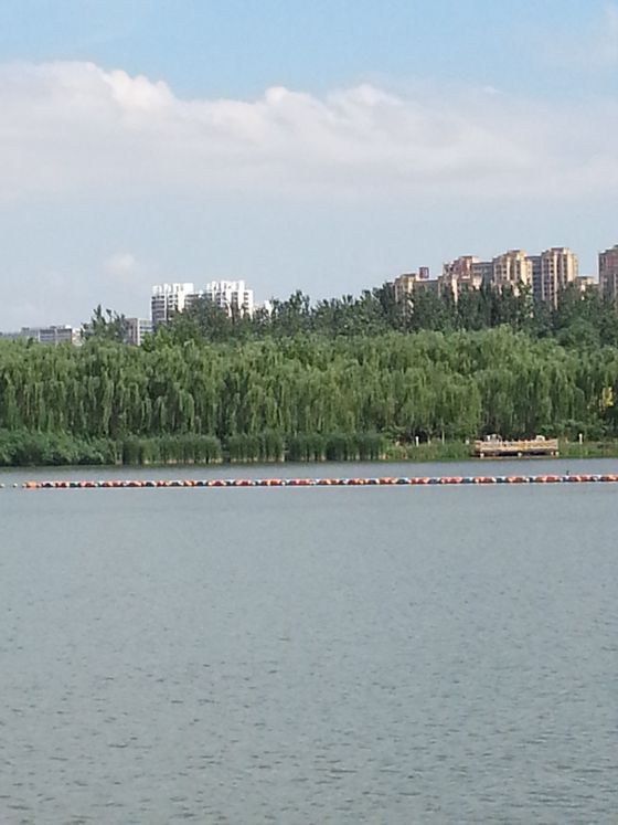 20160615_091624_副本.jpg