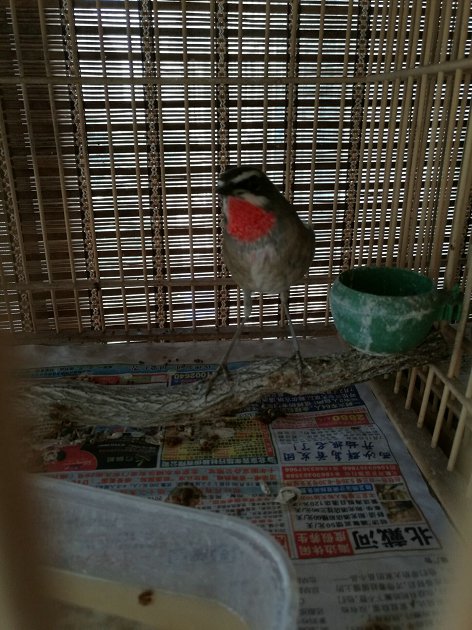 QQ图片20160619112745.jpg