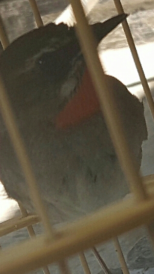 20160609_131706.jpg