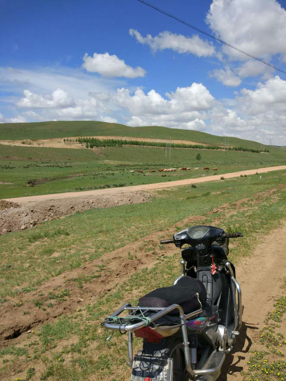 mmexport1467166778473.jpg