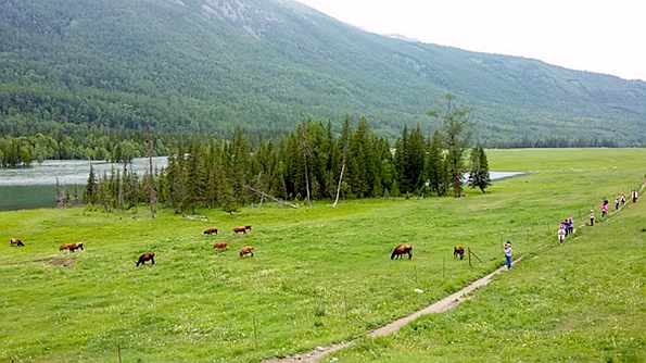 景6.jpg