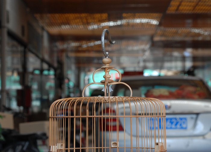 DSC_0002.JPG