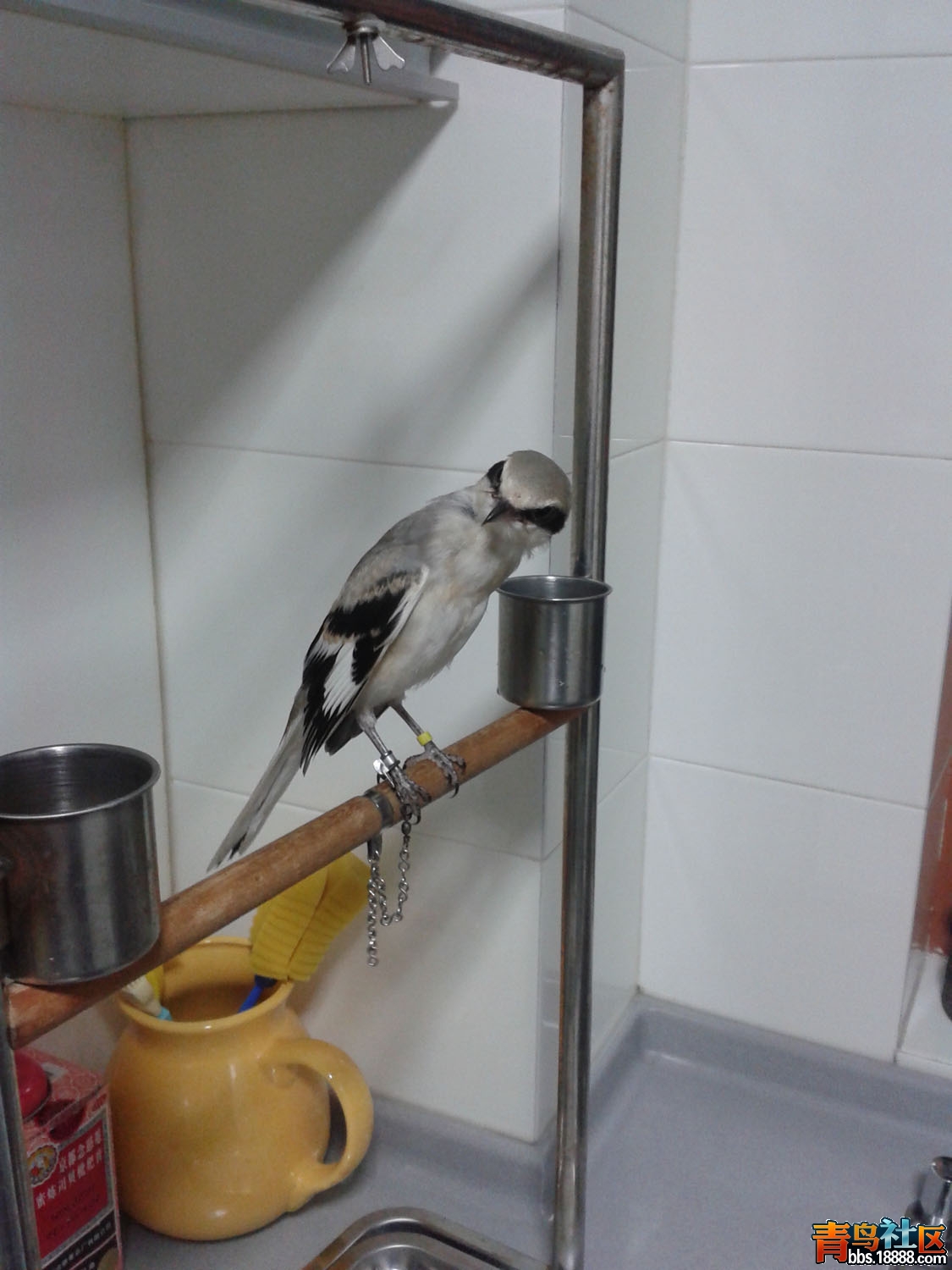 20160714_231134.jpg