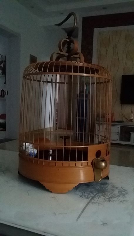 20160712_164334.jpg
