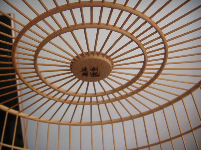 DSCN6847.JPG