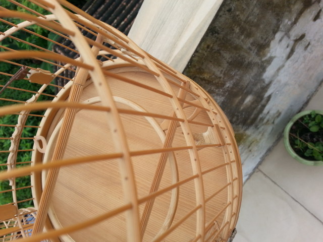20160611_104513.jpg