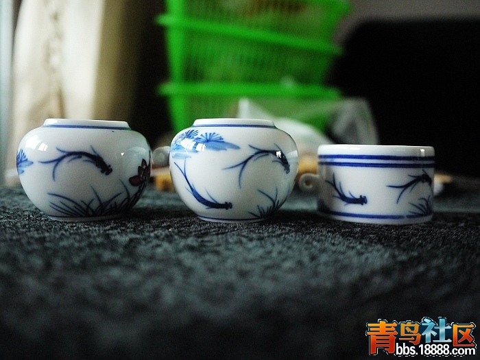 P1190220.jpg