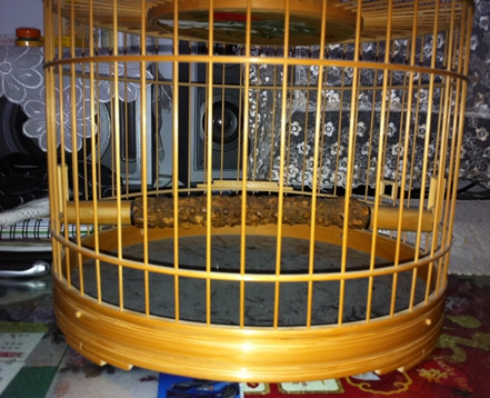 照片 014.jpg