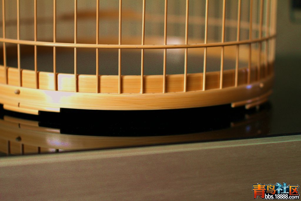 IMG_9011_看图王_副本.jpg