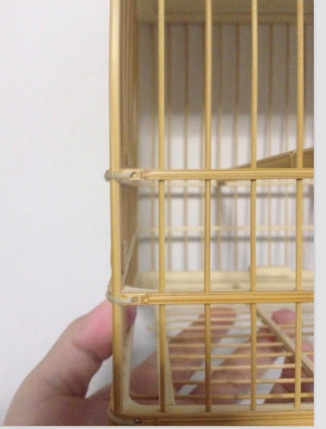 QQ图片20140113125828.jpg