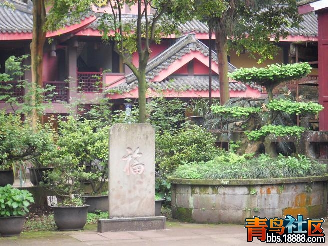 莪13.JPG