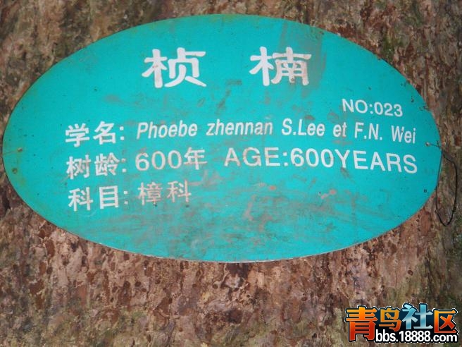 莪32.JPG