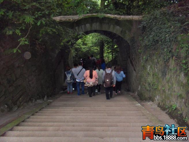 莪38.JPG
