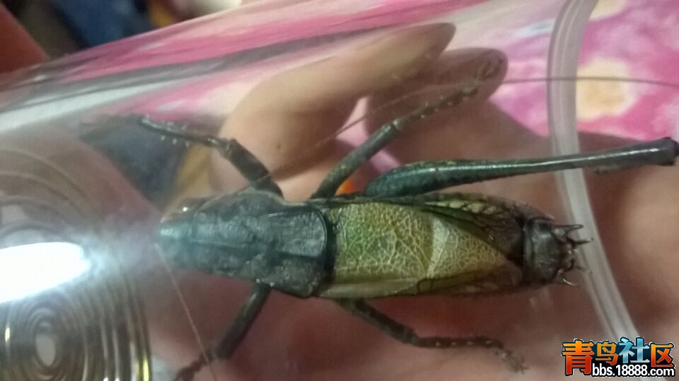 QQ图片20160707214758.jpg