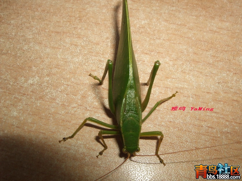 DSCF3019_缩小大小.jpg