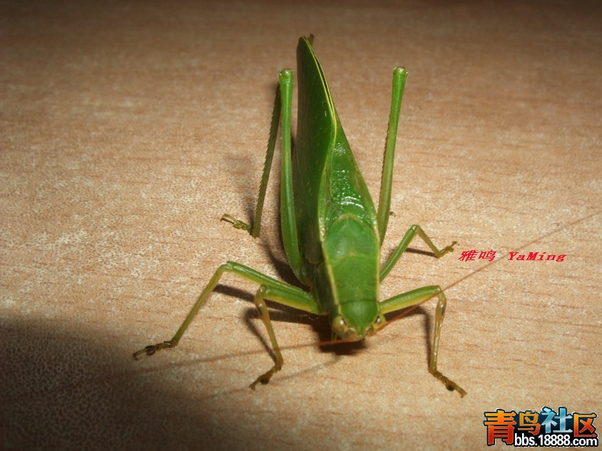 DSCF3017_缩小大小.jpg