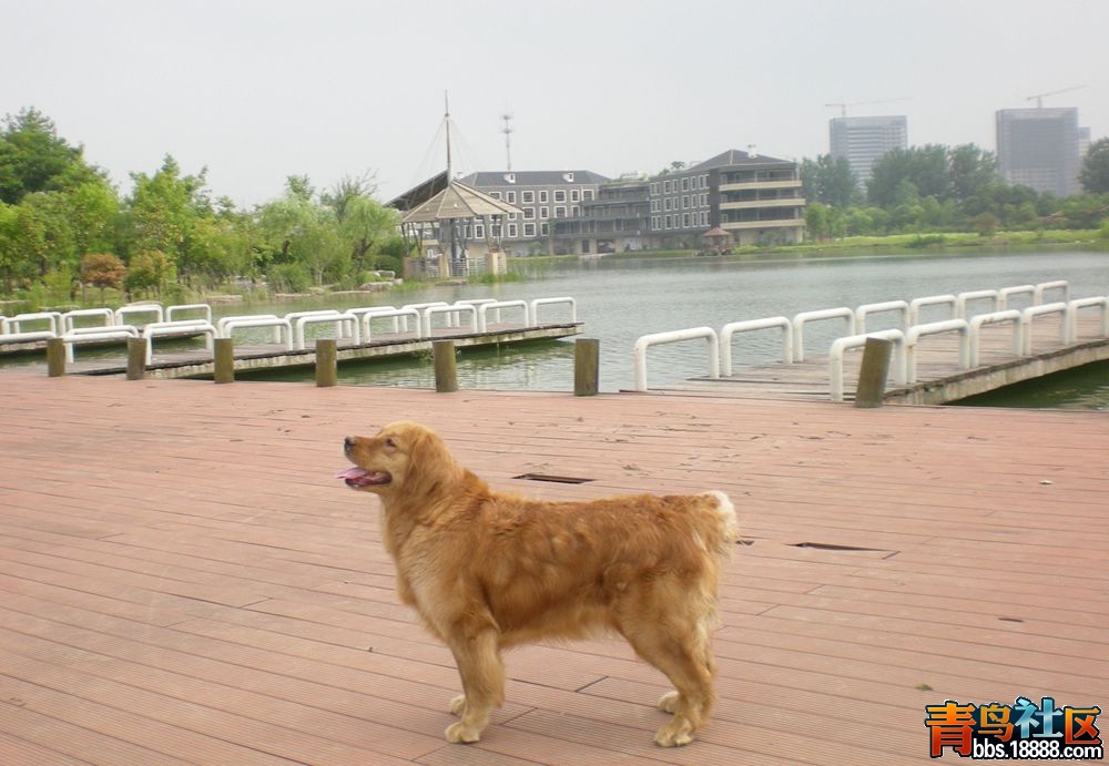 DSCN5919.JPG