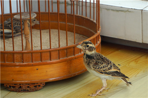 DSC02680_副本4.jpg