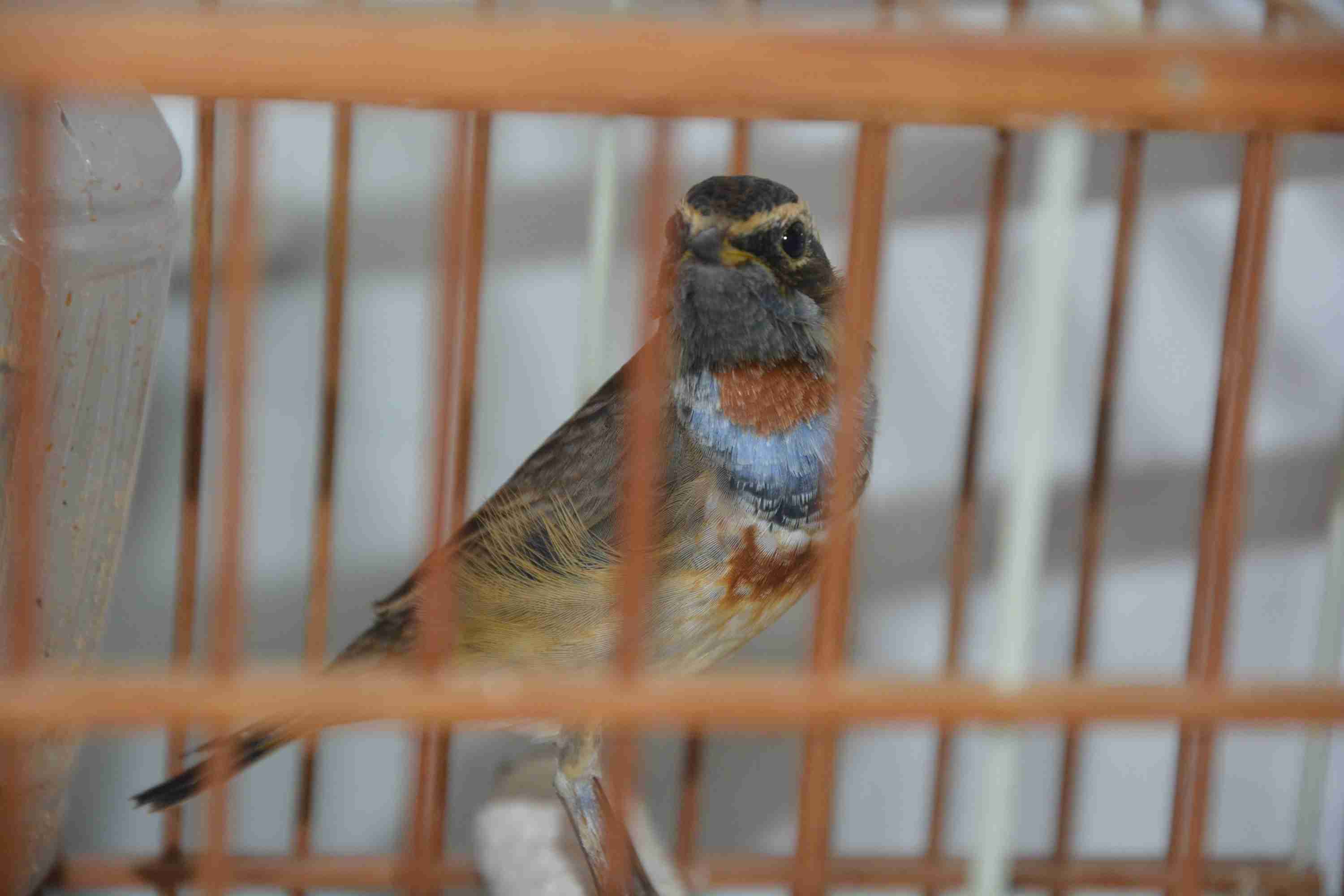DSC_0183.jpg