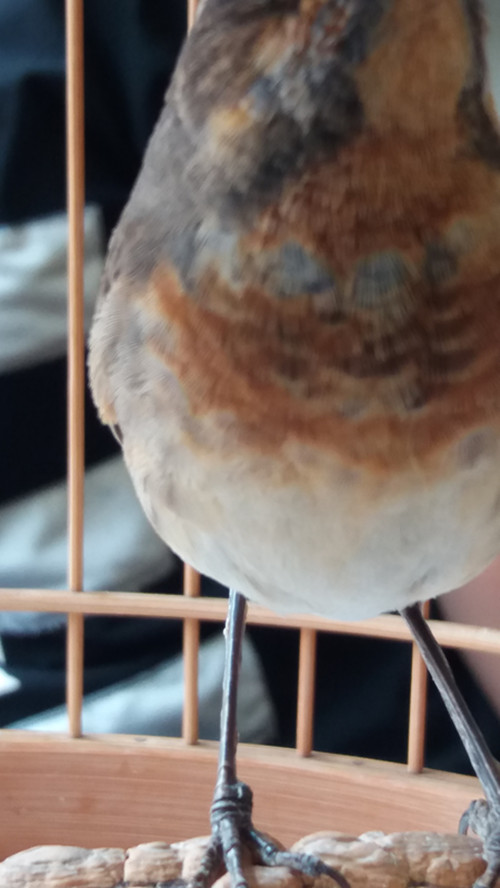20160722_124227_副本.jpg