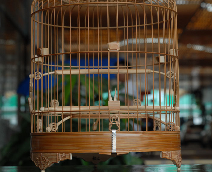 DSC_0007.JPG