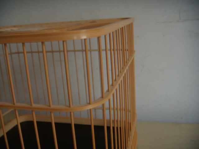 DSCN7734.JPG