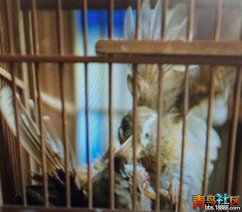 QQ图片20160816171422.jpg