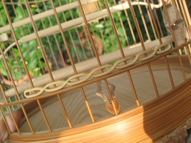 IMG_5015_调整大小.JPG