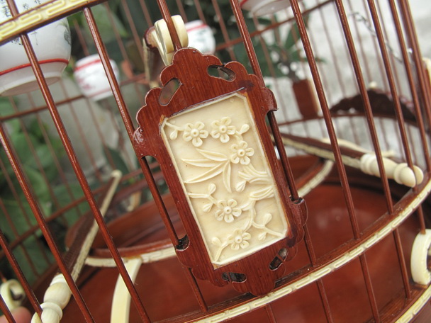 IMG_4972_调整大小.JPG