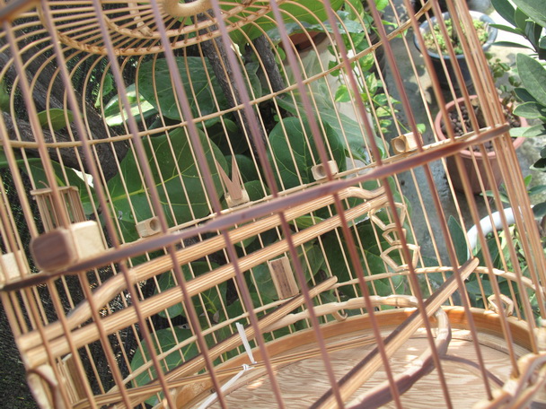 IMG_4938_调整大小.JPG