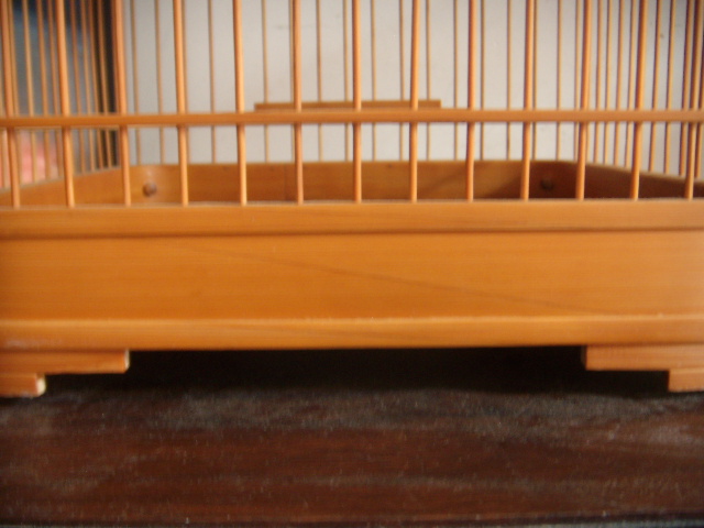 DSCN7380.JPG