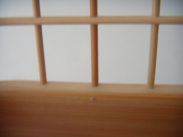 DSCN7963.JPG