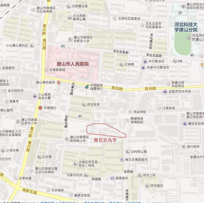 荷花坑.JPG
