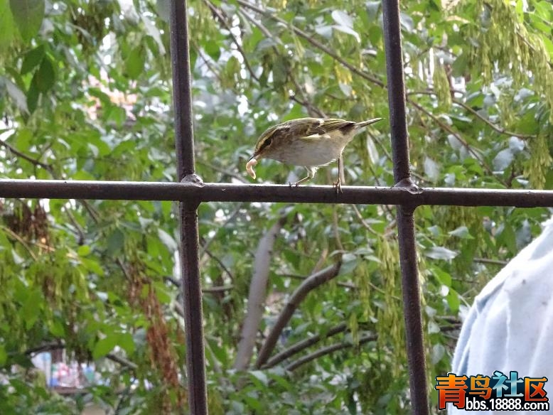 DSC01279_看图王.jpg