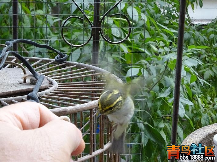 DSC01276_看图王.jpg