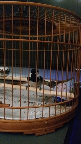20160923_170132.jpg