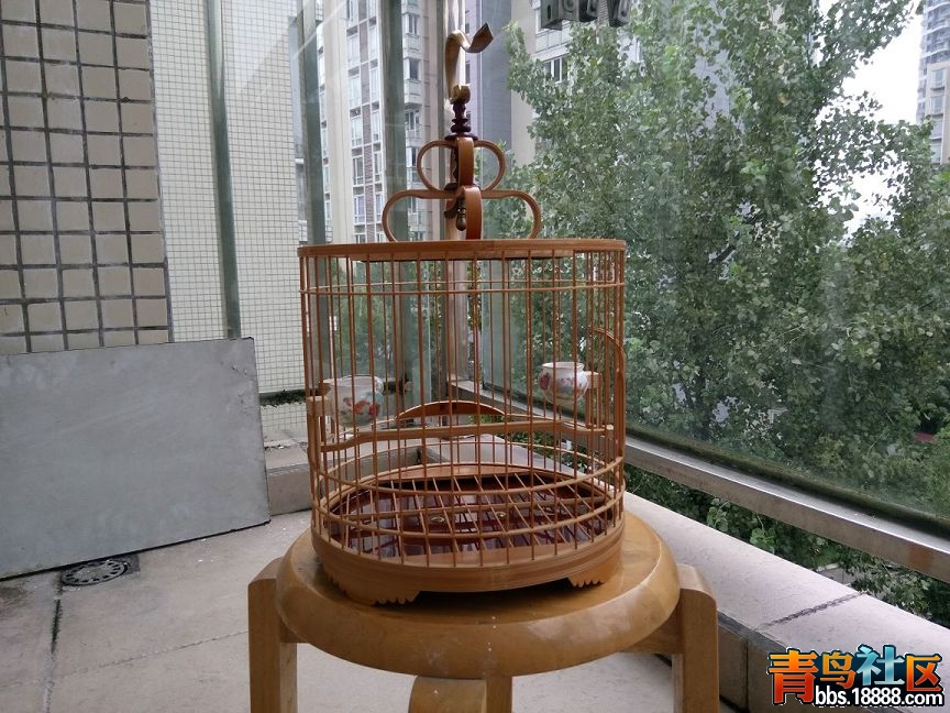 我的笼子IMG_20160919_160815.jpg