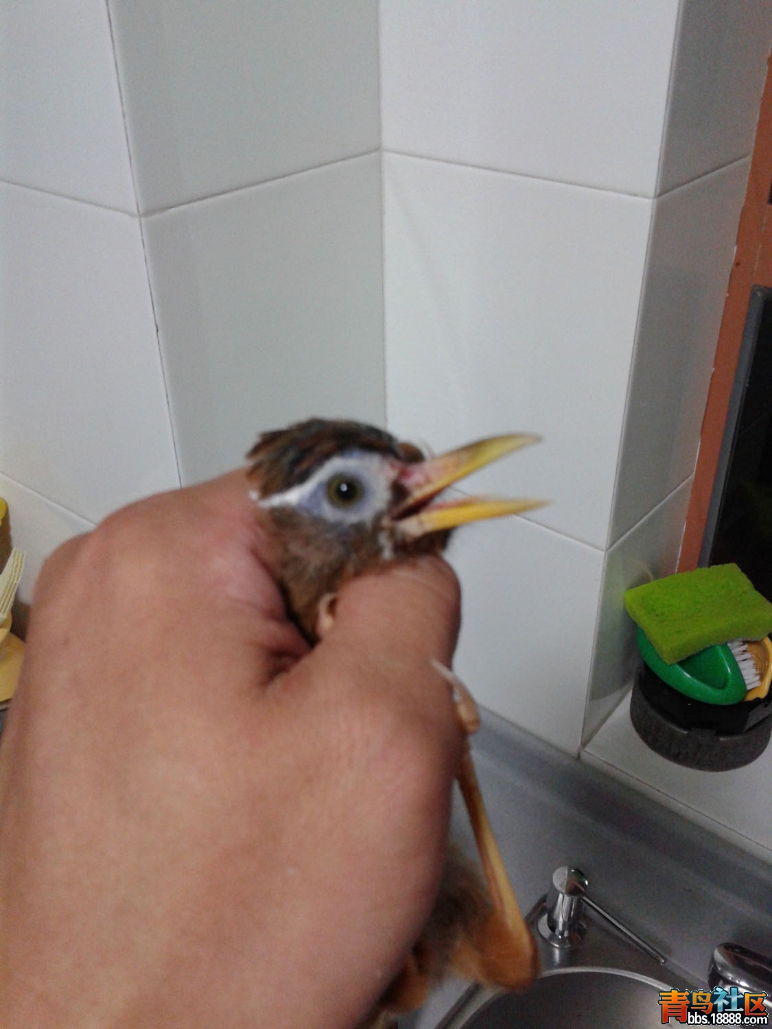 20160930_182849.jpg