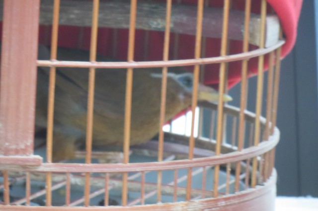 IMG_2778 [最大宽度 640 最大高度 480].jpg