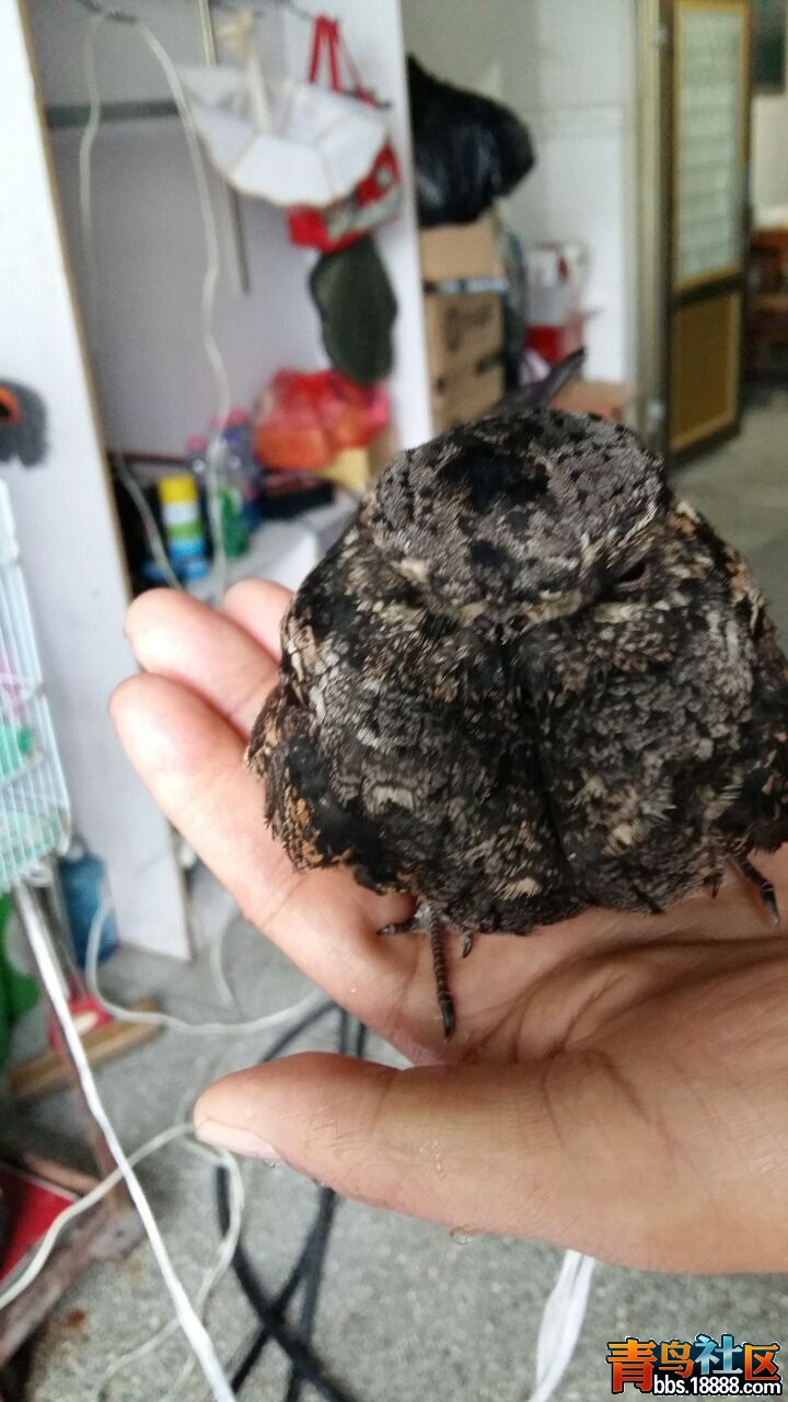 QQ图片20160916154147.jpg