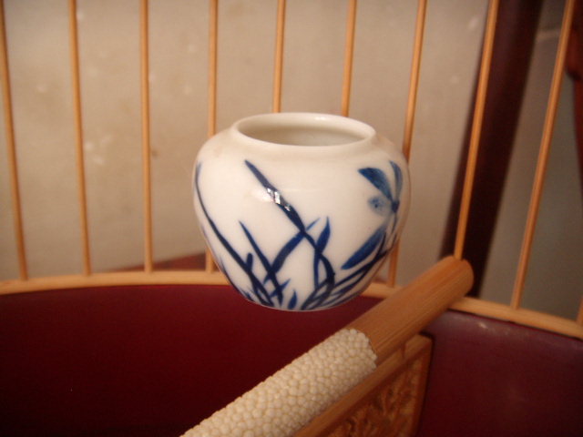 DSCN8373.JPG