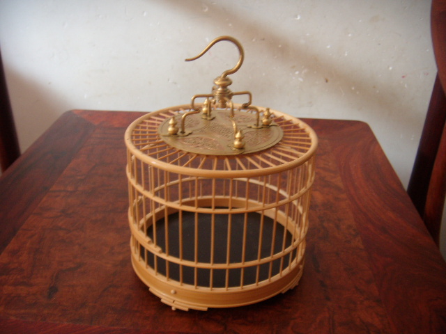 DSCN8089.JPG