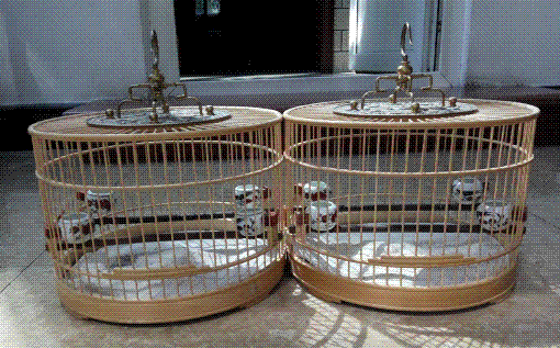 QQ图片20160913105345.GIF