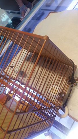 20160914_130350.jpg