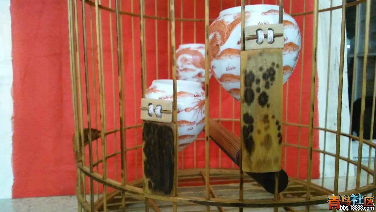 图11.JPG
