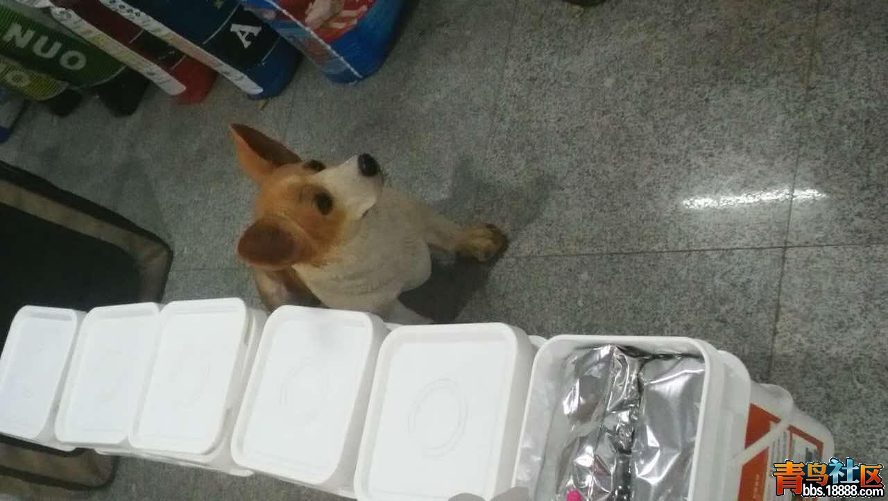 立8.JPG
